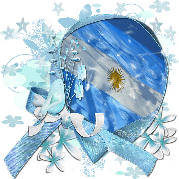 bandera-de-argentina-18