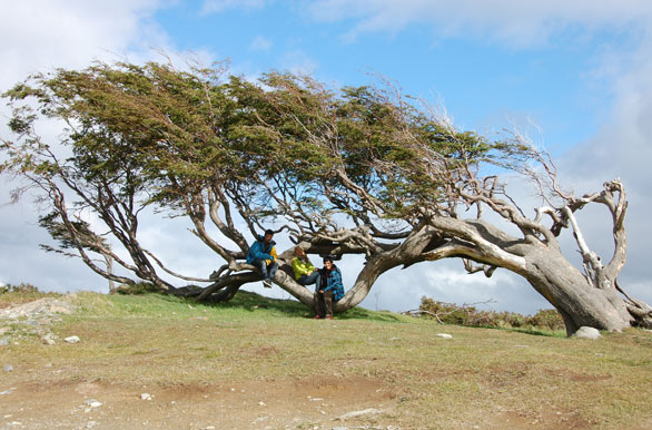 Parque-Nacional-Tierra-del-Fuego-13