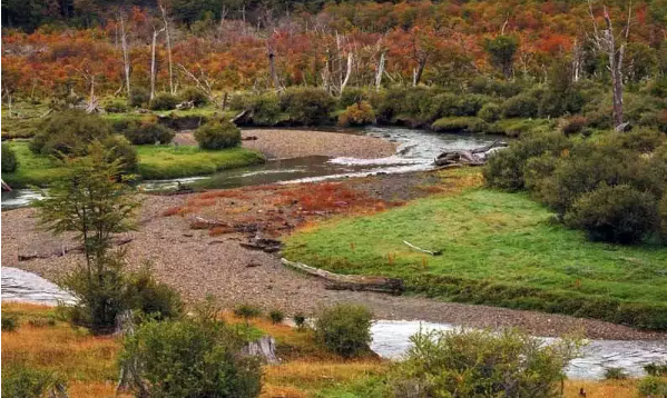 Parque-Nacional-Tierra-del-Fuego-24