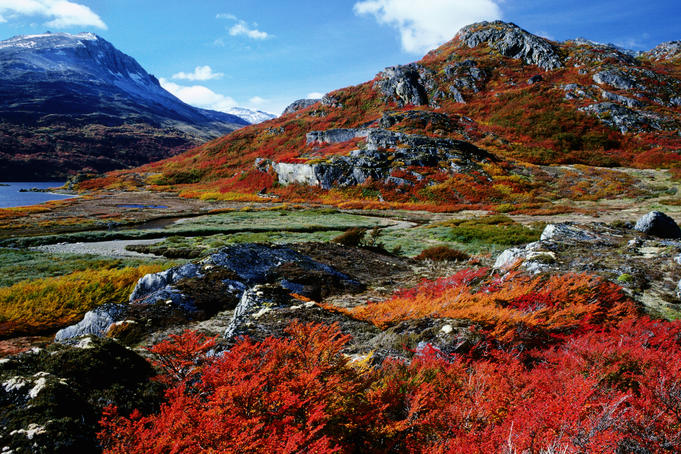 Parque-Nacional-Tierra-del-Fuego-25