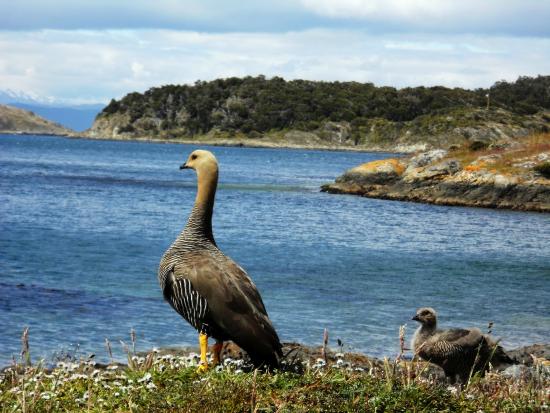 Parque Nacional Tierra del Fuego