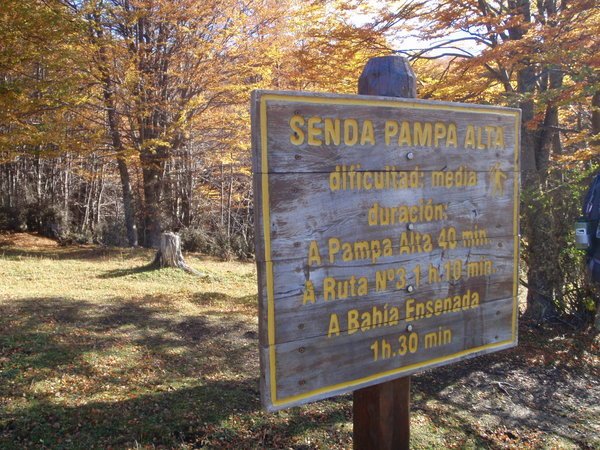 Parque-Nacional-Tierra-del-Fuego-9