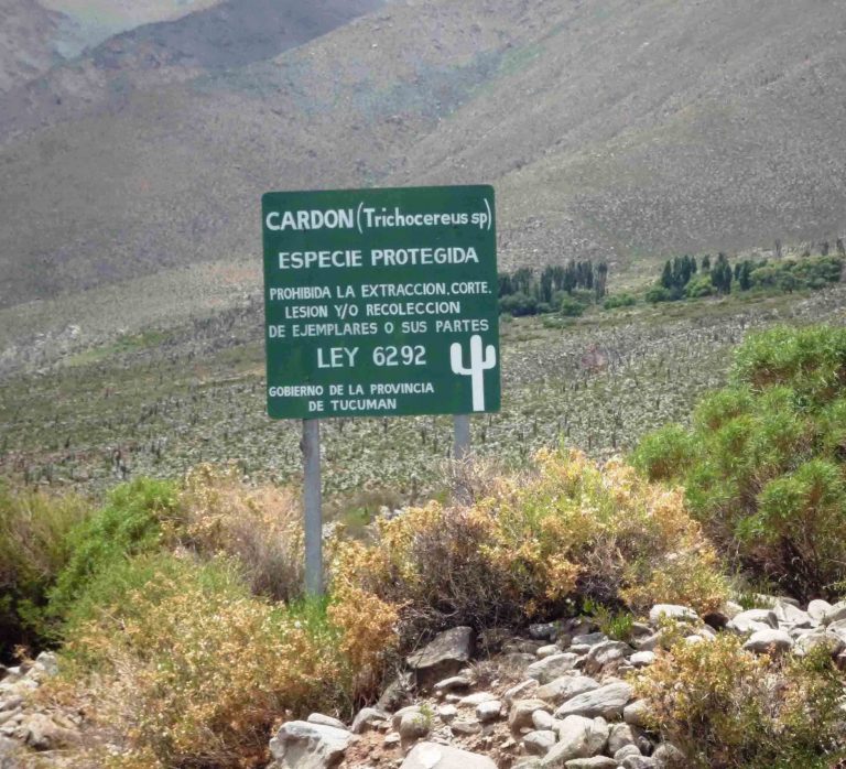 Amaicha del Valle: historia, clima, ubicación, turismo y más.